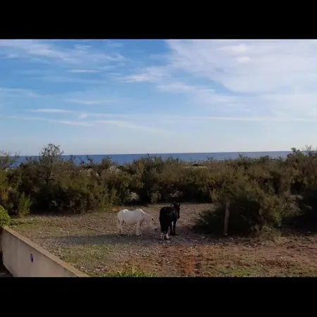 アパート La Rose Des Sables - Face A La