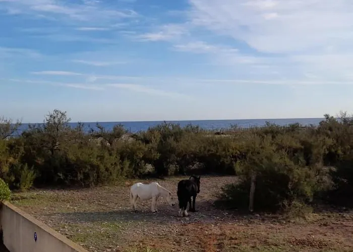 Apartment La Rose Des Sables - Face A La
